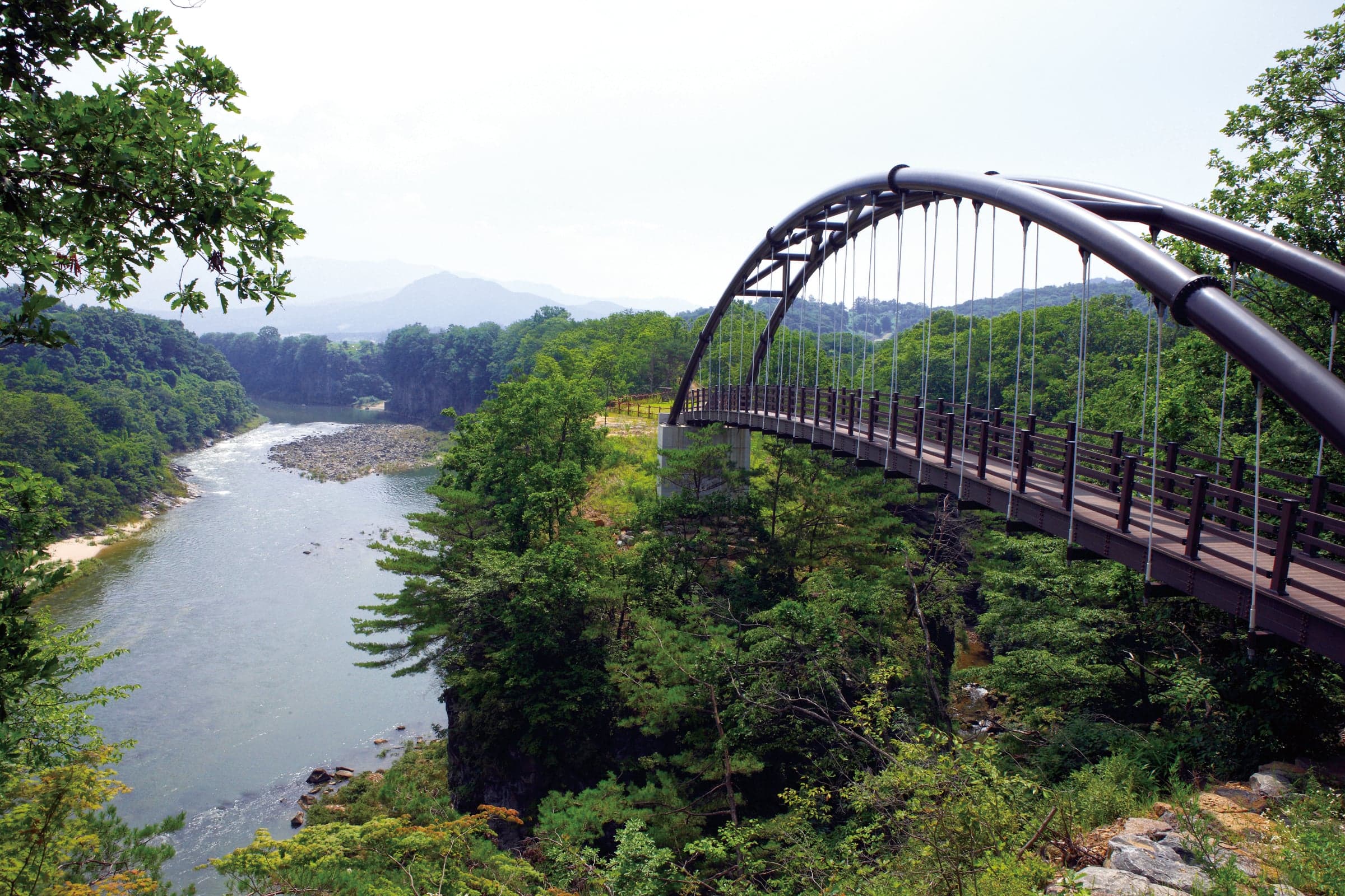 힐링·웰니스형 프로그램 치유의 숲 산림욕