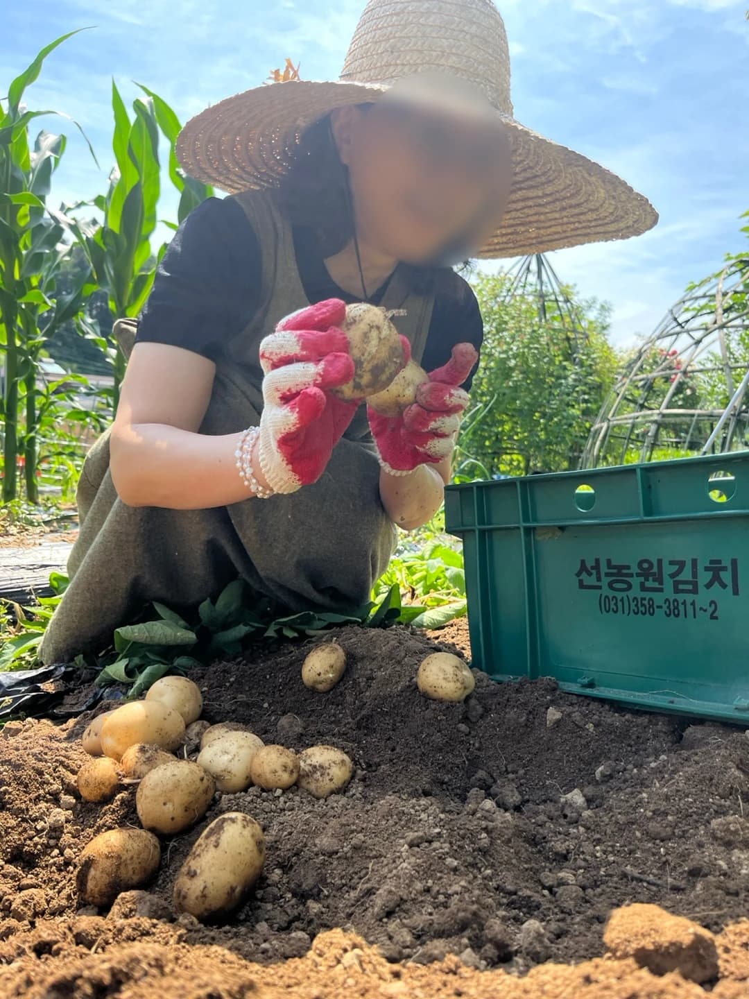 힐링·웰니스형 프로그램 힐데루시 자연치유 텃밭 체험