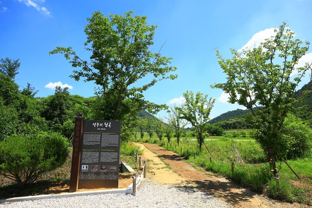 한탄강 주상절리길 전경
